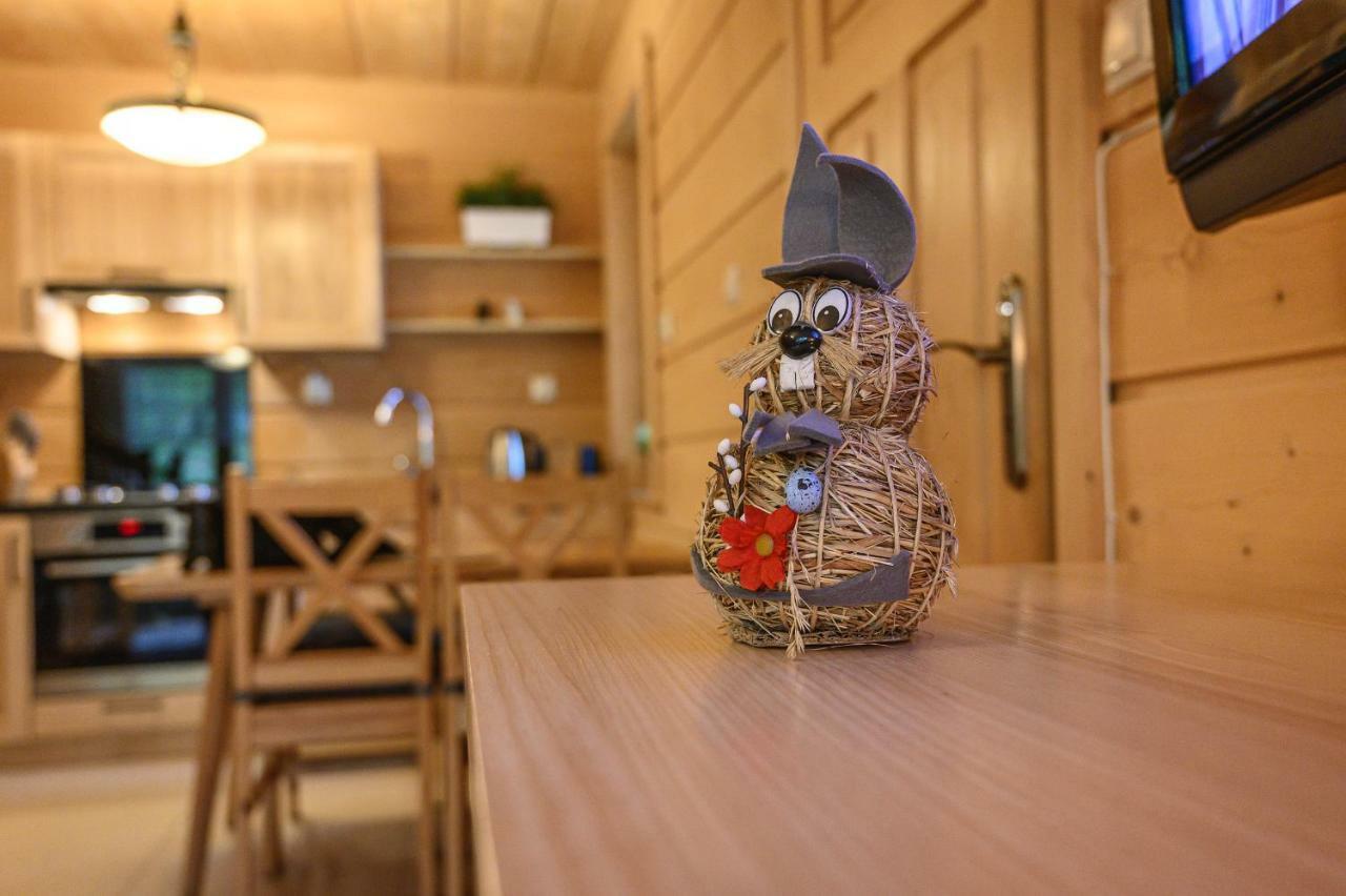 Regionalny Pod Skocznia Chalet Zakopane